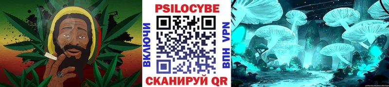Псилоцибиновые грибы Cubensis  Мурманск 