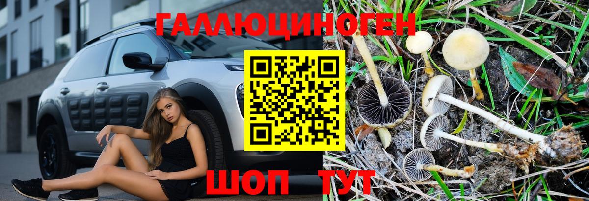 Галлюциногенные грибы ЛСД Мурманск